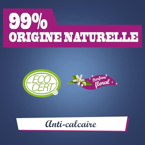 JACQUES BRIOCHIN - Nettoyant salle de bain 3 en 1 : Nettoie, Détartre et Purifie - Parfum huile de pin - 99.9% d'origine naturelle - Ecocert - Fabriqué en France - Pulvérisateur - 750ml