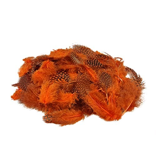 Netuno 150 plumes décoratives oranges 6g plumes duveteuses décoratives plumes d'oiseaux plumes naturelles pour loisirs créatifs DIY bricolage décoration de fêtes attrape-rêves fabrication de masques