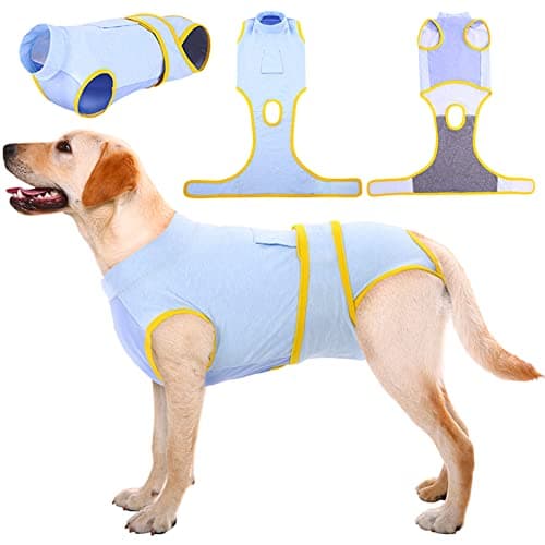 Kuoser Combinaison de récupération pour Chien pour Petite Moyenne Grande Taille, Protecteur de plaie Abdominale, maladie de la Peau de Chat, Chiot après Une opération chirurgicale