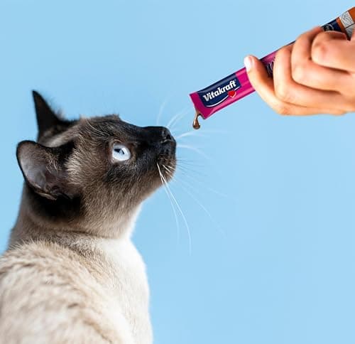 Vitakraft Liquid Snack - Friandise liquide pour chats au Bœuf et à l'herbe à chat - Soutient la flore intestinale - Faible en calories (6 x 15g)
