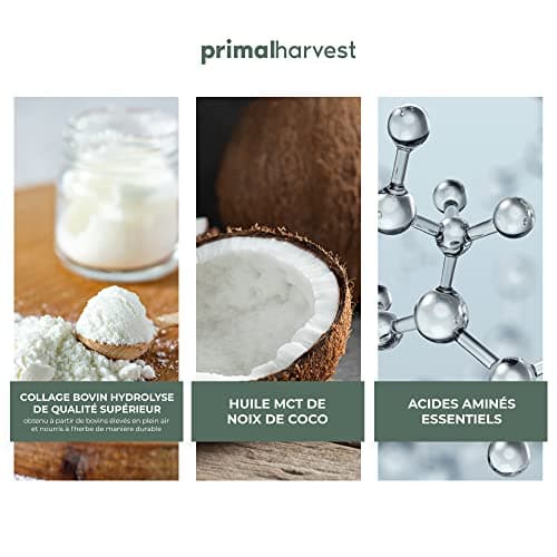 Primal Harvest Collagen MCT poudre - 30 portions - alimentation durable à l'herbe & poudre d'huile de noix de coco - hydrolysat de collagène- goût neutre & solubilité optimale