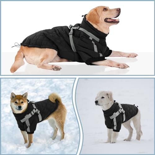 CITÉTOILE Manteau Chaud pour Chien, Veste Coupe-Vent pour Chien par Temps Froid, vêtement d'hiver pour Chien avec Fermetures éclair et Poignets Amples pour Chiens de Petite et Moyenne Taille, S
