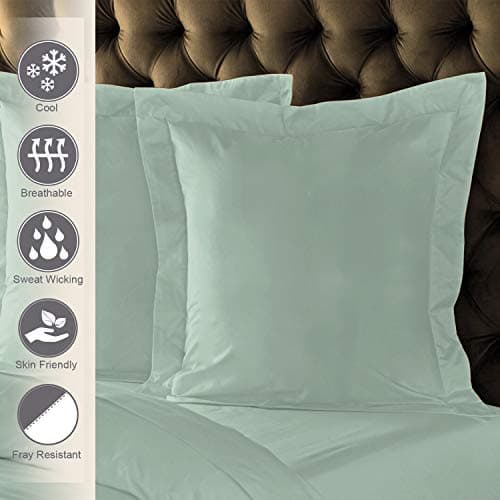 Pizuna Coton Peigné Set de 2 Taies d'oreiller 65x65 cm Sauge, 100% Coton Longue Tige 400 Fils Armure Satin Taies d'oreiller Douces 65x65 en Coton Taies d'oreiller (Sauge 2 Pièces)