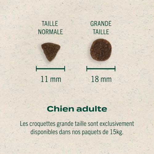 Franklin – Croquettes pour Chien – Gamme Protéinée – avec 70% de Saumon – Mono-protéine – sans Céréales – Peau et Pelage – Forme Triangle 11mm – 6 kg