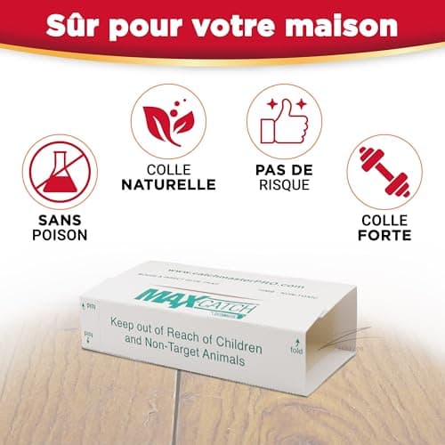 Catchmaster 72MAX Piège à Souris - 10 Pièges Colle Souris - Plaque Collante - Plaque Glue Souris - Attrape Souris - Grande Taille - Pieges à Souris Efficaces