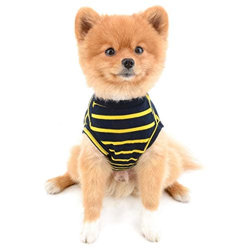 PAIDEFUL Vêtements pour petits chiens, chats, garçons et filles, été à rayures classiques T-shirt gilet respirant en coton T-shirt sans manches Chihuahua Yorkshire