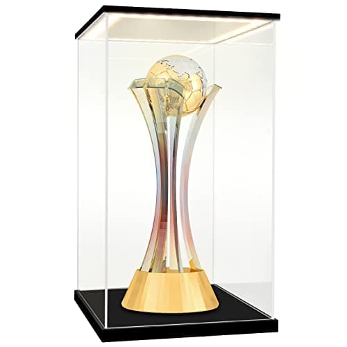 Huijintao Vitrine pour Collection, Boite Acrylique Transparent, Vitrine Voiture Miniature, Vitrine Exposition Vitrine Acrylique pour Figurine, Miniature, avec éclairage LED (25x25x40 cm)