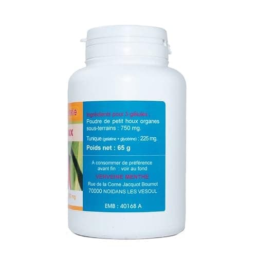 GELULES FRAGON épineux (Petit Houx) 200 gélules dosés à 250 mg.