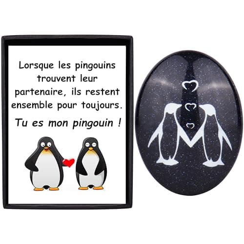 Merclix Idee Cadeau Homme Amour Pierre de Pingouin Cadeau Couple Original Cadeau pour Son Copain Copine Mari Cadeau Amoureux pour Homme Cadeau Saint Valentin Homme Idée Cadeau Femme Noel Anniversaire