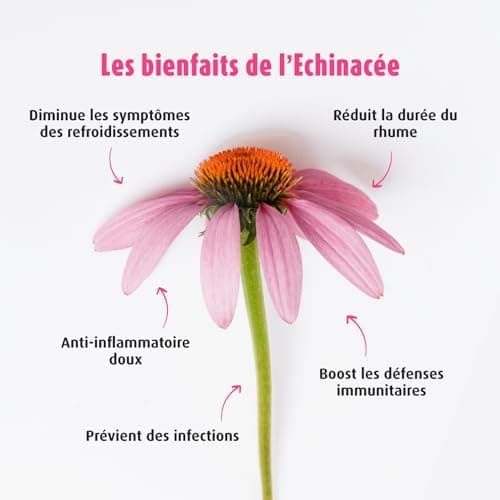 A.VOGEL-Echinaforce® – Complément alimentaire – Renforce le système immunitaire et santé de l'appareil respiratoire - Extrait de plante Fraîche d’Echinacée Bio – Solution buvable 100ml