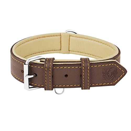 Riparo Collier pour Chien en Cuir véritable (Marron, L: 3,8 cm de Large pour 45,7 cm - 53,3 cm de Cou)