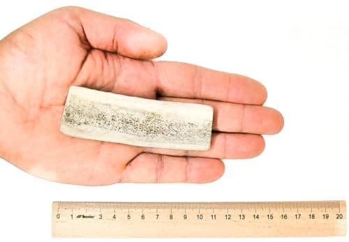 RF - Deer Bois de Cerf élaphe S (Lot de 5), Soft, 100% Naturel Bâtonnets Jouets à mâcher naturels pour Chien, Mâcher des os pour Le Plaisir et Les Soins dentaires, favorisant l'hygiène Dentaire