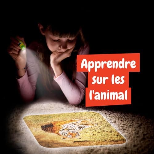 Science4you Lampe Torche et Projecteur Animaux pour Enfants 4+ Ans - Veilleuse avec 24 Images et Poster Animaux, Jouet Éducatif pour Garçons et Filles