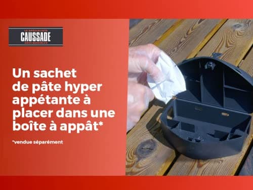 CAUSSADE Anti Rats & Souris - Forte Infestation - Lieux secs & humides - 10 Sachets pâtes Fluorescents - Prêt à l'emploi - Une Ingestion Suffit - Fabriqué en France - 150g - CARSPT150N