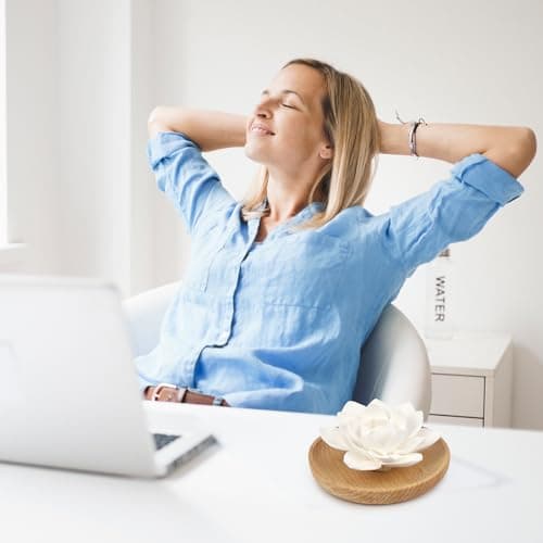 Diffuseur D'Huiles Essentielles en Plâtre avec Boîte à Parfum en Bois et Fleur en Plâtre Diffusion Naturelle pour Bureau Salon Salle de Bains et la Chambre