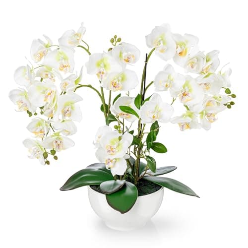 PASCH® Orchidée artificielle XXL grande (56 cm) dans un pot en céramique brillante | Orchidées artificielles comme de vraies | Orchidées artificielles en pot | Fleurs artificielles en pot | Fleurs