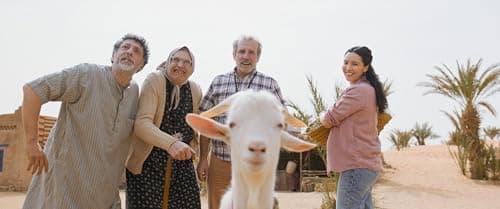Les Bodin's partent en vrille