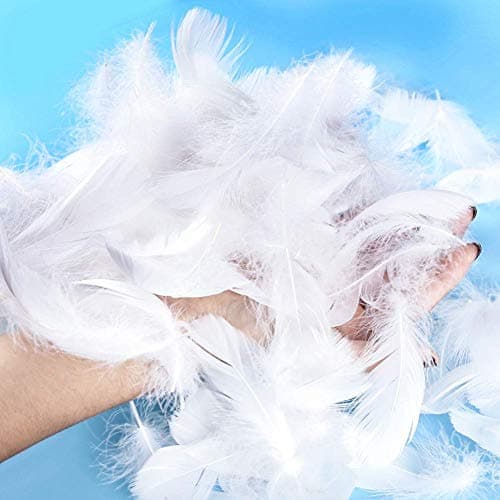 Suneast Lot de 300 Plumes d'oie pour Loisirs Créatifs, Attrape-Rêves, Boucles d'oreilles, Mariage, Festival, Décoration de Fête Prénatale - Blanc, 5-8cm