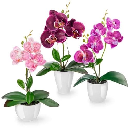 PASCH ® Fleurs artificielles en Pot (35 cm) Lot de 3 orchidées, Arrangement artificiellement coordonné dans des Pots en céramique Brillante, Fleurs décoratives orchidées artificielles (Violet-Rose)