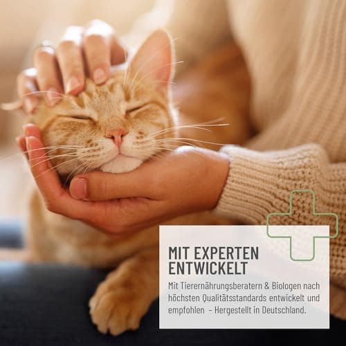 Poudre pour articulations ReaVET pour Chats I L'alternative aux comprimés pour articulations - très Bonne Acceptation - remède spécial pour Les articulations des Chats