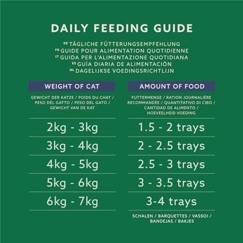 by Amazon Lot de 32 paquets de nourriture pour chat, mélange de pâtées, 100 g (anciennement Lifelong !)