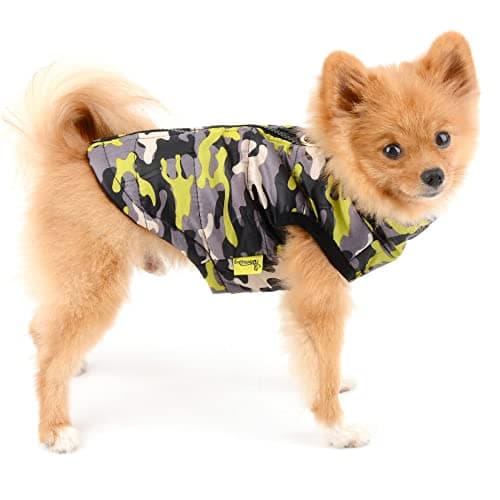 PAIDEFUL Manteau rembourré imperméable pour petit chien avec anneau en D pour chihuahua Yorkshire