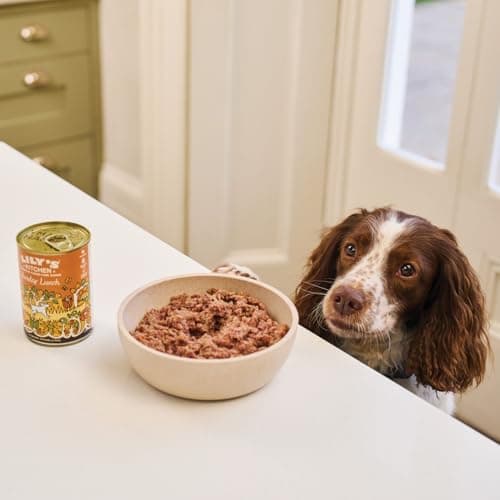 Lily's Kitchen Pâtée pour Chien Petit-déjeuner à l'anglaise 6 x 400g