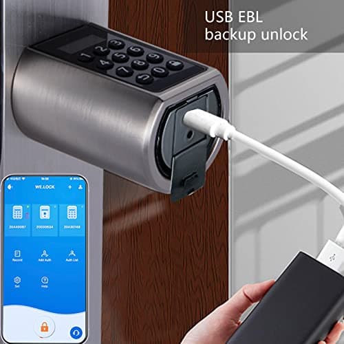 WELOCK PCB01 Serrure Connectée Serrure à Code avec RFID carte,Connexion Bluetooth APP, Serrure Digitale Wi-Fi(nécessite WiFiBox),Smart Lock Facile à installer Argent