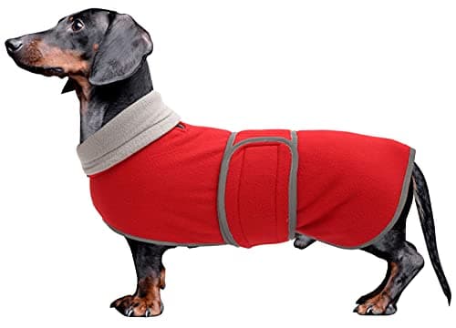 Morezi Manteau d’hiver pour chien Parfait pour teckels Avec doublure en polaire rembourrée et col haut Combinaison de neige pour chien avec lanières réglables