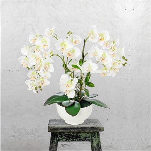 PASCH® Orchidée artificielle XXL grande (56 cm) dans un pot en céramique brillante | Orchidées artificielles comme de vraies | Orchidées artificielles en pot | Fleurs artificielles en pot | Fleurs