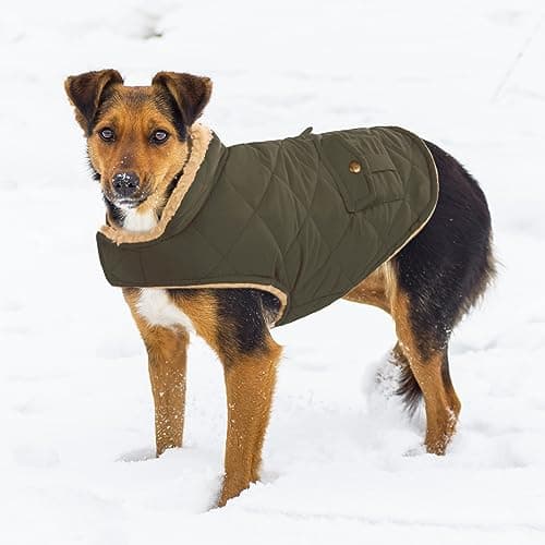 CITÉTOILE Manteau de Chien Coupe - Vent, Manteau Chien Fourré Polaire Epaiss, Manteau Veste d’Hiver Chien Chaud, Vêtement pour Chiens avec Trou de Corde de Traction, Vert, XS
