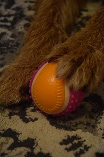 Aimé - Balle pour Chien 5 en 1 Saveur Bœuf - Jouet Interactif/Éducatif pour Développer et Stimuler les 5 Sens - Résistant Toutes Races et Tous Âges - Balle 6 cm