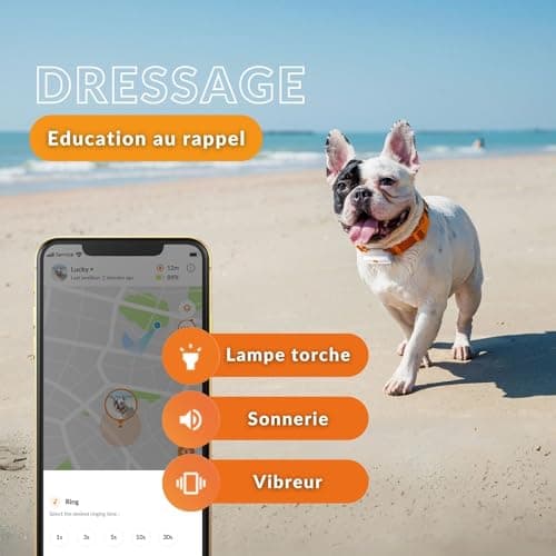 Weenect Chien XS - Nouveau GPS pour Chien | Mini Traceur GPS pour Chien en Temps réel | Etanche | Plus Petit modèle du marché | Fonctionne avec abonnement | Garantie à Vie