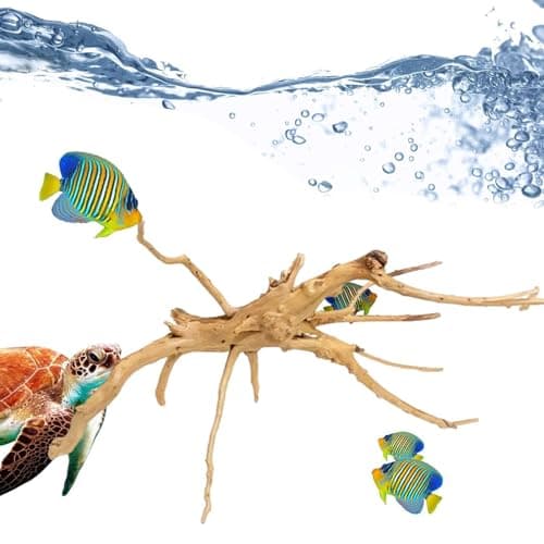 Fulenyi Plantes d'aquarium, Racine d'arbre en Bois flotté, décoration en Bois flotté, Branches en Bois Massif, décoration de Terrarium, Accessoires pour Petits Poissons