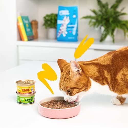 Edgard & Cooper Pâté Pour Chat, Adulte, (Dinde & Poulet, 85g x 18), Patée Morceaux en Sauce pour Chat, Viande fraîche et protéines de qualité, Pâté pour chat stérilisé et actif