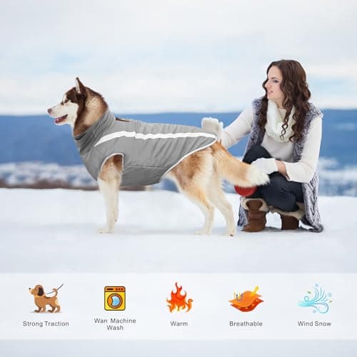 Dolahovy Manteau imperméable pour Chien, Veste Chaude pour Animaux de Compagnie en Hiver Manteau pour Chien vêtements pour Chiens vêtements réfléchissants (Gris, 4XL)