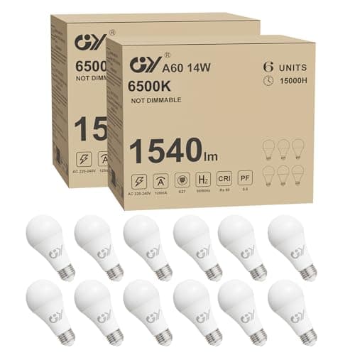 GY Ampoule LED E27 14W (équivalent 100W), 1540 lumens 6500K Blanc Froid, A60 Ampoule E27 LED Efficacité Energétique, E27 LED Angle de faisceau de 280° Non-Dimmable, Lot de 12