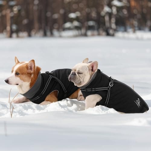 PETTOM Manteaux Chiens Imperméable avec Harnais, Manteau d'hiver Robuste et Chaud pour Chien, Vêtement Chien avec Réfléchissante pour Petits, Moyens et Grands Chiens (Noir, L)