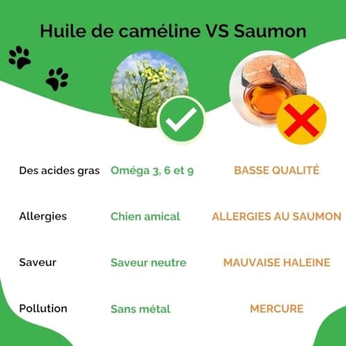 Doxel Senior 1L | Huile pour Chien Agés | Anti-Inflammatoire | Supplément | Omega 3 6 9| Vitamine E | Chien Adultes | Anti-âge Articulations et Muscles Saines | Arthrose Chien | Huile de Camelina