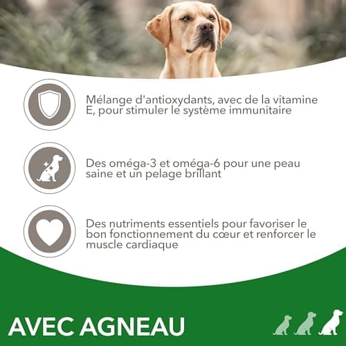 Iams Vitality - Croquettes pour Chiens Adultes Grande Race - Favorise Santé et Vitalité
