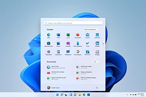 Microsoft Windows 11 Famille | 11 64-bit | Français | USB