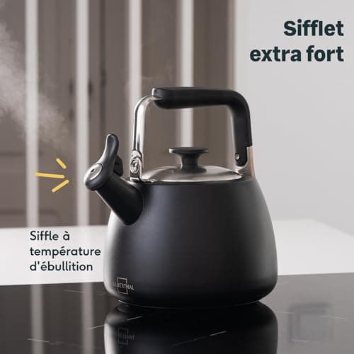 SILBERTHAL Bouilloire à induction 2,8l - Bouilloire en acier inoxydable - Bouilloire pour le camping - Bouilloire à flûte noire - Bouilloire sifflet Nouvelle version 2024
