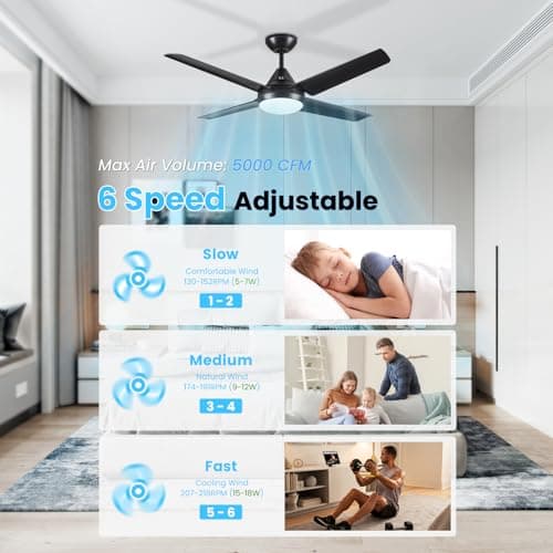 Newday Ventilateur de Plafond avec Lampe Noir, 122cm avec Lumiere Silencieux, avec éclairage et Télécommande Pour Chambre Salon Bureau Cuisine