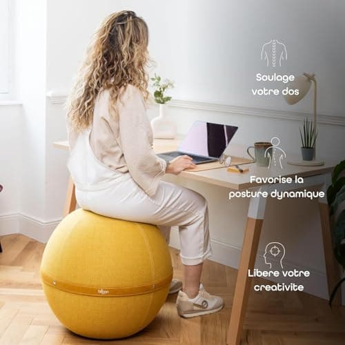 Bloon Siège Ballon Bureau Ergonomique - Anti Mal de Dos ou Sciatique - Confortable pour Bureau ou Télétravail - Chaise Ballon 65cm de diamètre (Taupe, XL)