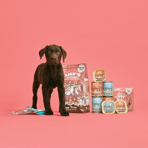 Adulte 8+ Salmon Scottish & Trout Gluten Nourriture sèche pour Chiens Gratuit 1 kg