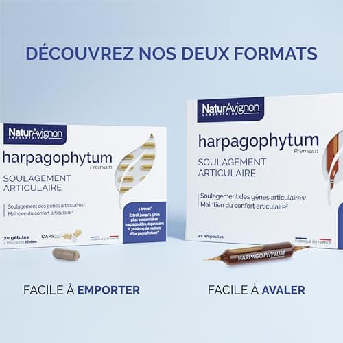 Laboratoire NaturAvignon Harpagophytum Ampoules | Confort articulaire | Efficacité prouvée | Equivalent 3000mg de racine d'harpagophytum + Vitamine D3 | Arôme naturel | 20 ampoules (20 jours)