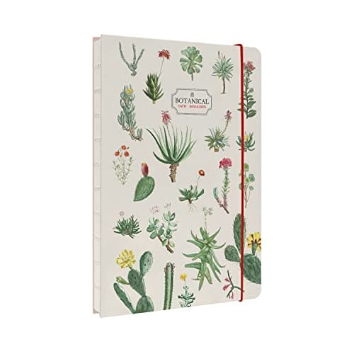 Grupo Erik - Carnet de Notes A5 Botanical Cacti, Pages Pointillées, Couverture Rigide, Notebook, Bullet Journal, Cahier de Notes, Carnet de Voyage
