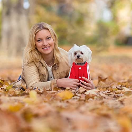 Dolahovy Sweat à Capuche pour Chien Vêtements pour Animaux de Compagnie Pulls pour Chiots Automne Wiver Polaire Chiens Veste Manteaux pour Chihuahua Teddy Petits Chiens Taille Moyenne Chats