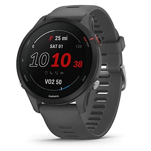 Garmin Forerunner 255 - Montre GPS Multisports connectée de Running – Gray - Boîtier 46 mm