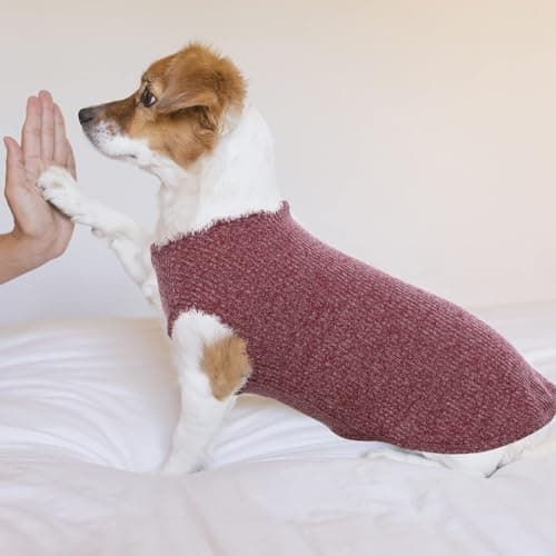 Hjumarayan Pull Chien - Pull Rayé pour Chien Sweat Chien Fin Pull Noel Chien Petite Taille, Vetement pour Chien Pull-Overs pour Chiens, Vetement Chihuahua Yorkshire Terriers (Rouge XS)